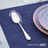 Dinner Spoon 6 Piece Set