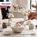 Ice Cream Spoon - 6 Pcs set