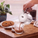 Food Grade Stainless Steel Tea and Coffee Pot with Handle and Lid - 400 ml | Easy Grip Handle | Ideal for Daily Use