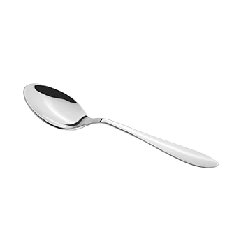 Dinner spoon 6 Piece Set